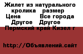 Жилет из натурального кролика,44размер › Цена ­ 500 - Все города Другое » Другое   . Пермский край,Кизел г.